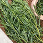 Tarragon Herb Seeds Vesta Market