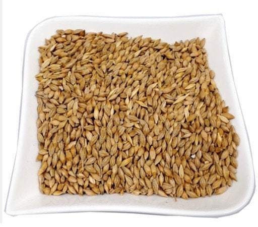Avena Sativa The Oat Grains 30 grams of seeds ( 5000 seeds ), non GMO - Vesta Market