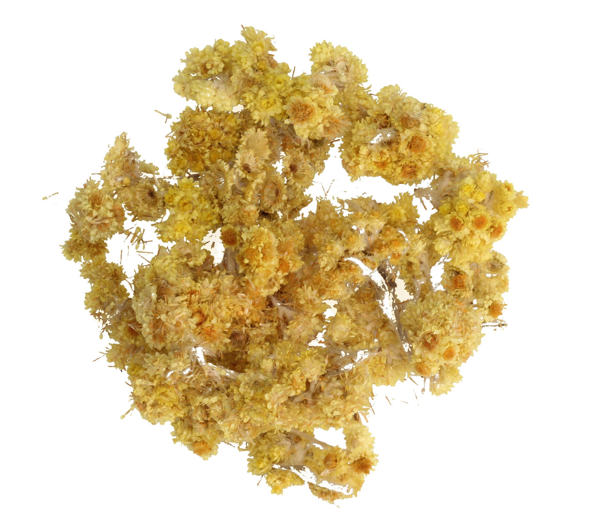 Sandy Everlasting Dried flowers tea BIO Organic 25g 0.88 oz Vesta Market