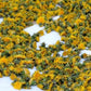 Dried Dandelion Flower BIO Organic 25g / 0.88 oz Vesta Market