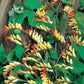 Firecracker Vine 20 seeds, fresh, easy to grow - Vesta Market