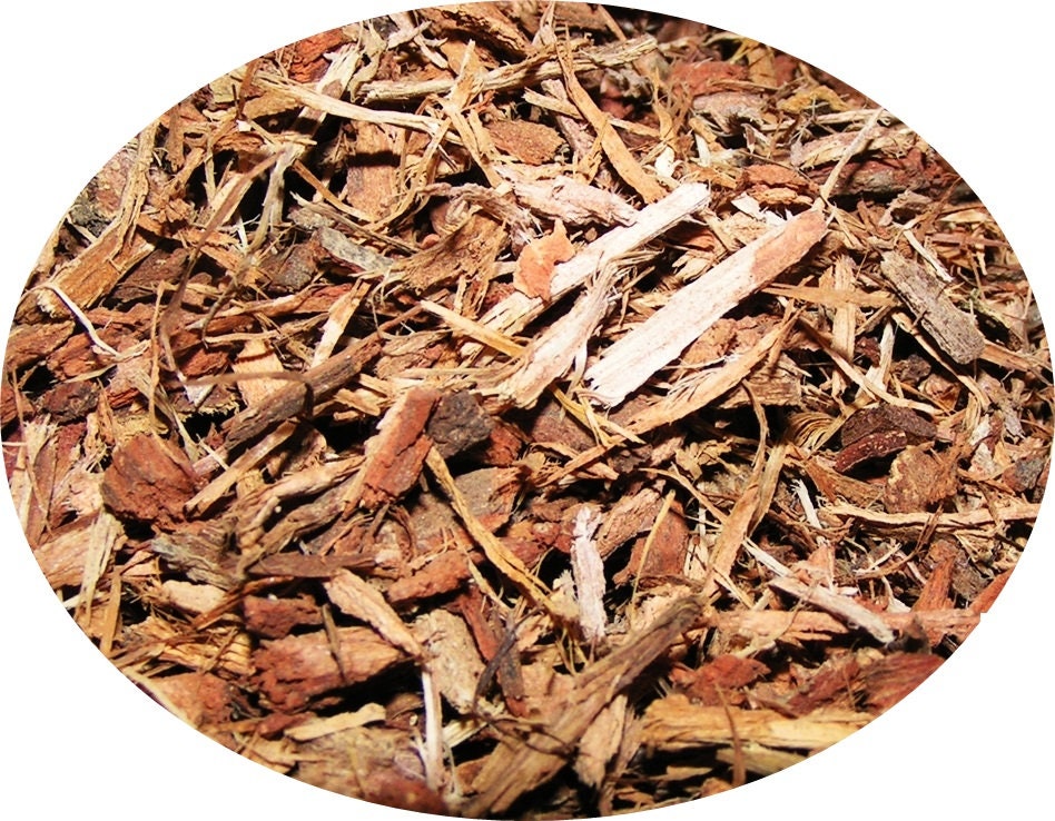 Oak Bark 100g / 3.53 oz - Vesta Market