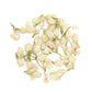 Dry Organic Jasmine Flowers - Choose from 1oz to 32oz - Organic Jasminum Vesta Market